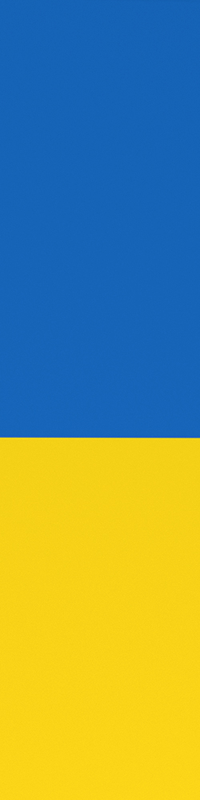 Елемент зображення
